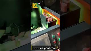 Multi Function Full Automatic Full Servo Single Color Glass Bottle Screen Printing Machine