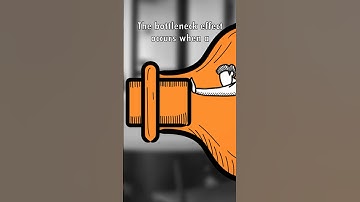 The Bottleneck Effect: How They Change Evolution 🍾🧬