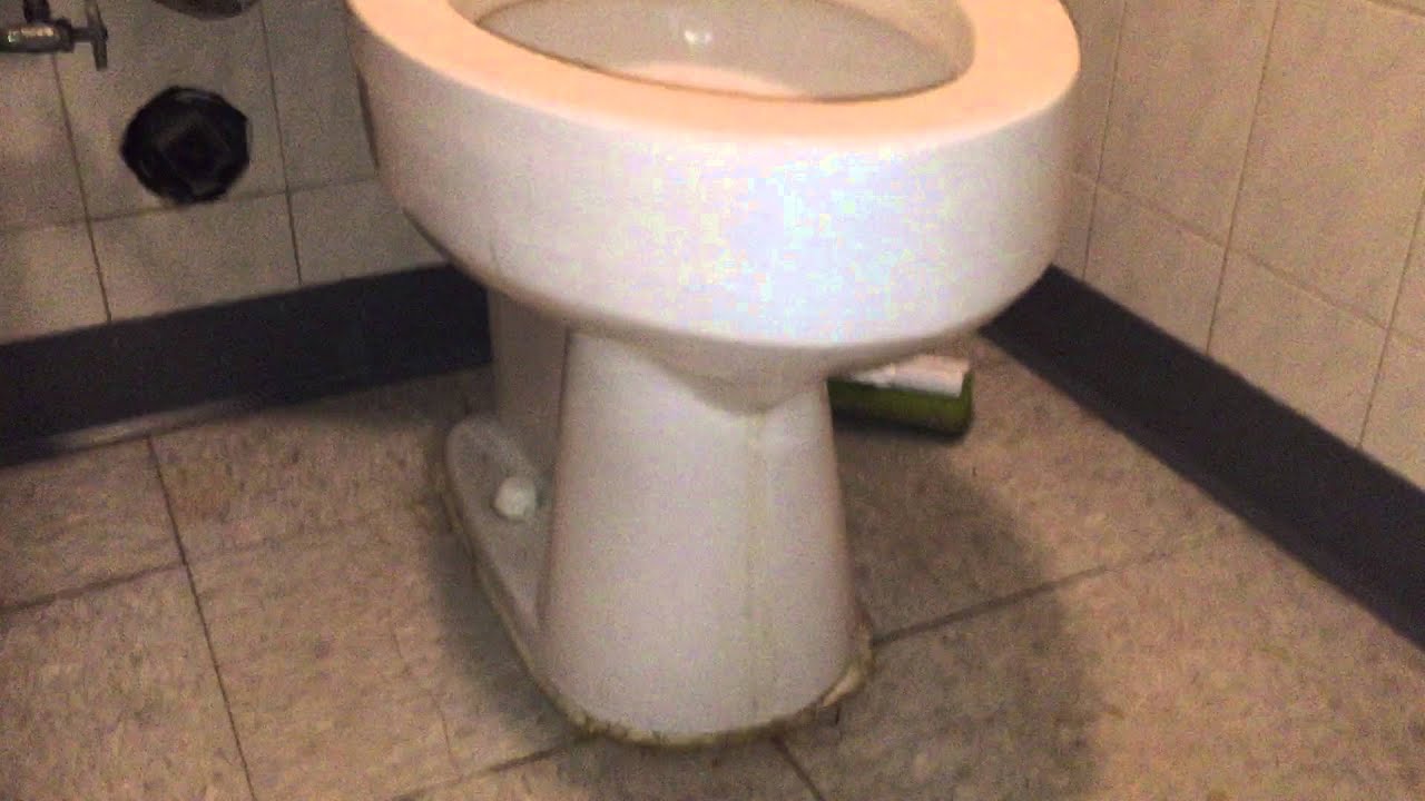 565. Vintage Comfort Height American Standard Cadet Toilet. YouTube