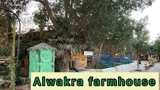 Visit to Alwakra Farmhouse | Litt’s Paradise by Litt's Paradise 109 views 2 years ago 6 minutes, 16 seconds