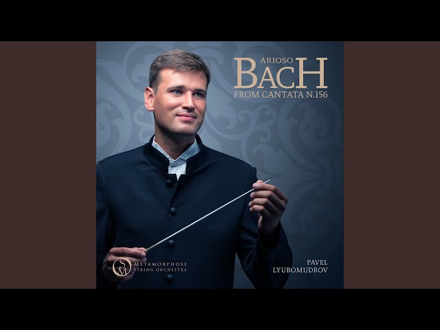 エレンの歌 第3番 作品52 第6番「アヴェ・マリア」Franz Peter Schubert