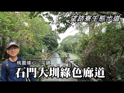 從埔心車站出發, 造訪「石門大圳綠色廊道」、望路寮生態步道