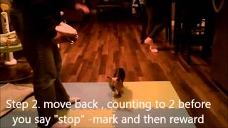 Teaching your Dog to Stop Barking screenshot 5