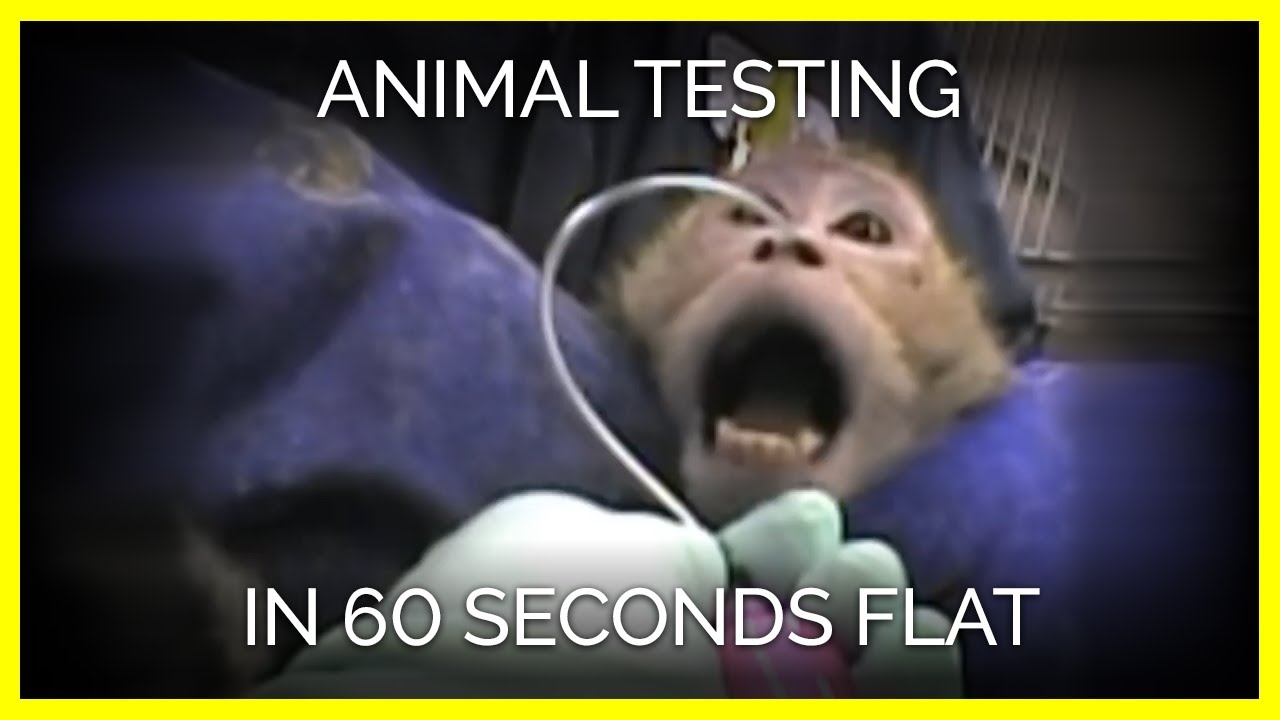 Animal Testing in 60 Seconds Flat