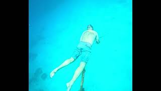 Porno Paul's second free dive attempt