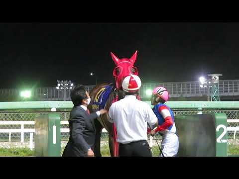 21日本テレビ盃、サルサディオーネ優勝！
