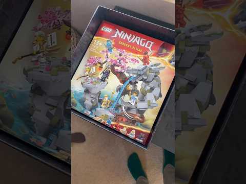 Insane LEGO Mystery
