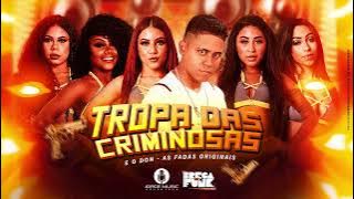 AS FADAS E EODON - TROPA DAS CRIMINOSAS - AUDIO OFICIAL