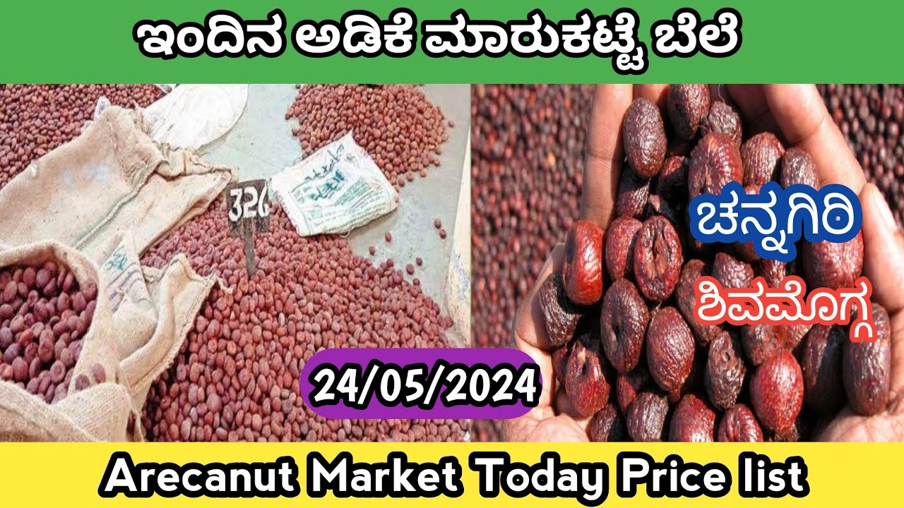 adike rate today | ರಾಜ್ಯದ ವಿವಿಧ ಮಾರುಕಟ್ಟೆ ಅಡಿಕೆ ಬೆಲೆ 24/05/2024 | adike ...