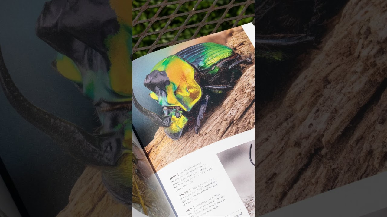 Beetles of the World: A Natural History 