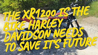 The XR1200 is the bike that could save Harley Davidson 