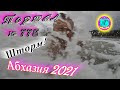 ШТОРМ! Абхазия 2021❗2 декабря🌴Выпуск №778❗ Погода от Водяного🌡ночью 6°🌡днем +12°🐬море +15°