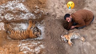 Rip My Tiger