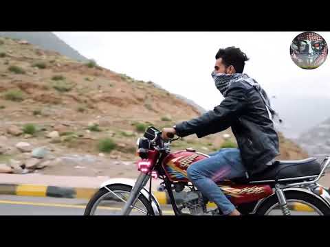 جديد محمد الطويل 2025 قصر المحبة شيلة تهز القلوب حصري 