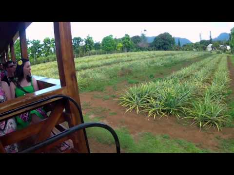 Video: Visitando la piantagione Kilohana di Kauai e Luau Kalamaku