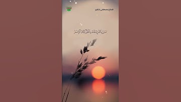 ويدع الإنسان | سورة الإسراء آية 11 | القارئ مصطفى شقير