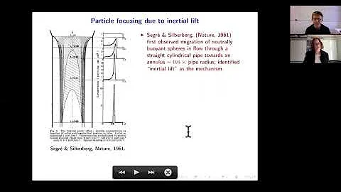 AProf. Yvonne Stokes Dept Math and Stats Colloquiu...