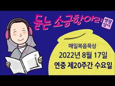 영상썸네일
