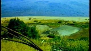 Society and Nature (1988)
A glasnost-era documentary chronicles the environmental damage caused by Soviet industrialization policies. Paper-cellulous plant in the city of Priozersk, closed by environmental inspectors for dumping waste into Lake Ladoga. An abandoned rail line, disassembled machinery. The polluted banks of Lake Ladoga. Society and Nature (1988)