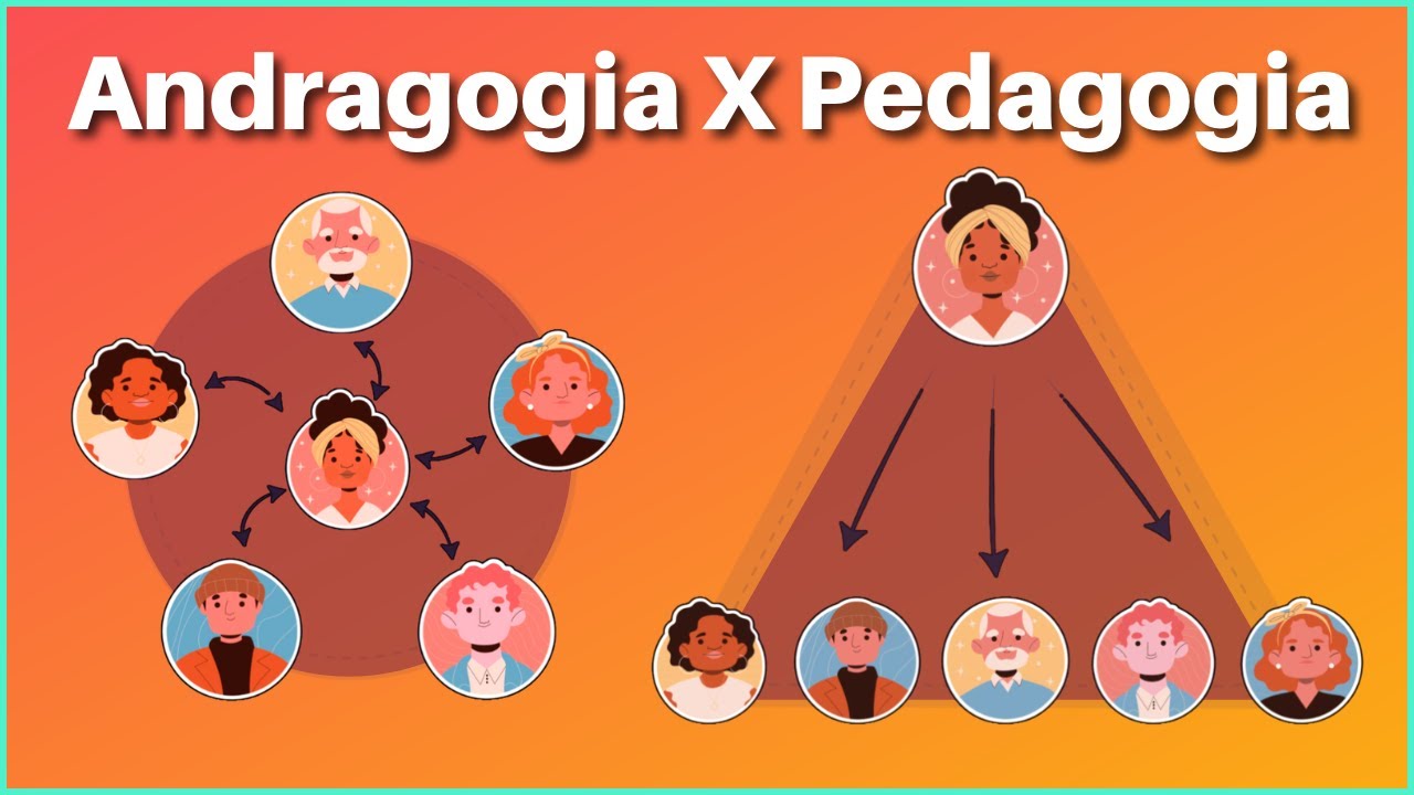 Descubra os 6 Princípios da Andragogia | EDUCAÇÃO DE ADULTOS, NA PRÁTICA 👩‍🏫