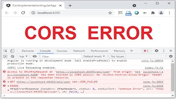 .NET Core Web API CORS Implementation with Angular Application