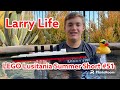 Larry Life LEGO Lusitania Summer Short #51