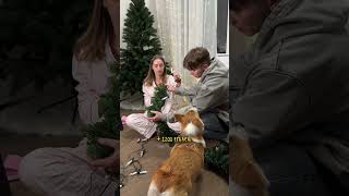 Сколько стоит украсить дом к Новому Году 🎄