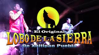 Video thumbnail of "LOBO DE LA SIERRA UN RINCONCITO EN EL CIELO"