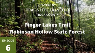 Finger Lakes Trail - Robinson Hollow State Forest | Central NY Trails Less Traveled