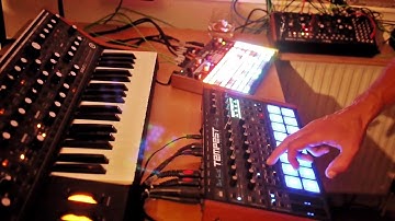 Epic Analogue Jam w. DSI Tempest, Moog Sub 37, Mother-32, Synthstrom Deluge