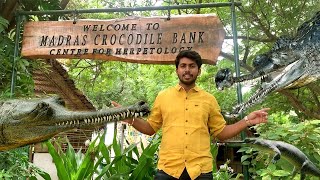 Crocodile Park Tour 🐊 |  முதலை பண்ணை | Madras Crocodile Bank | Must Visit place in Chennai | Vlog