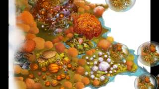 Pixie Hollow Music - Fall Meadows