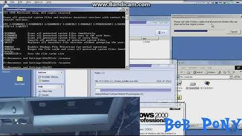 A Corrupted Google Chrome Installer On Windows 2000