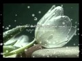 أسرار في أحبك للرائعه ثريا أحمد