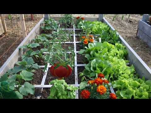 square foot gardening ideas