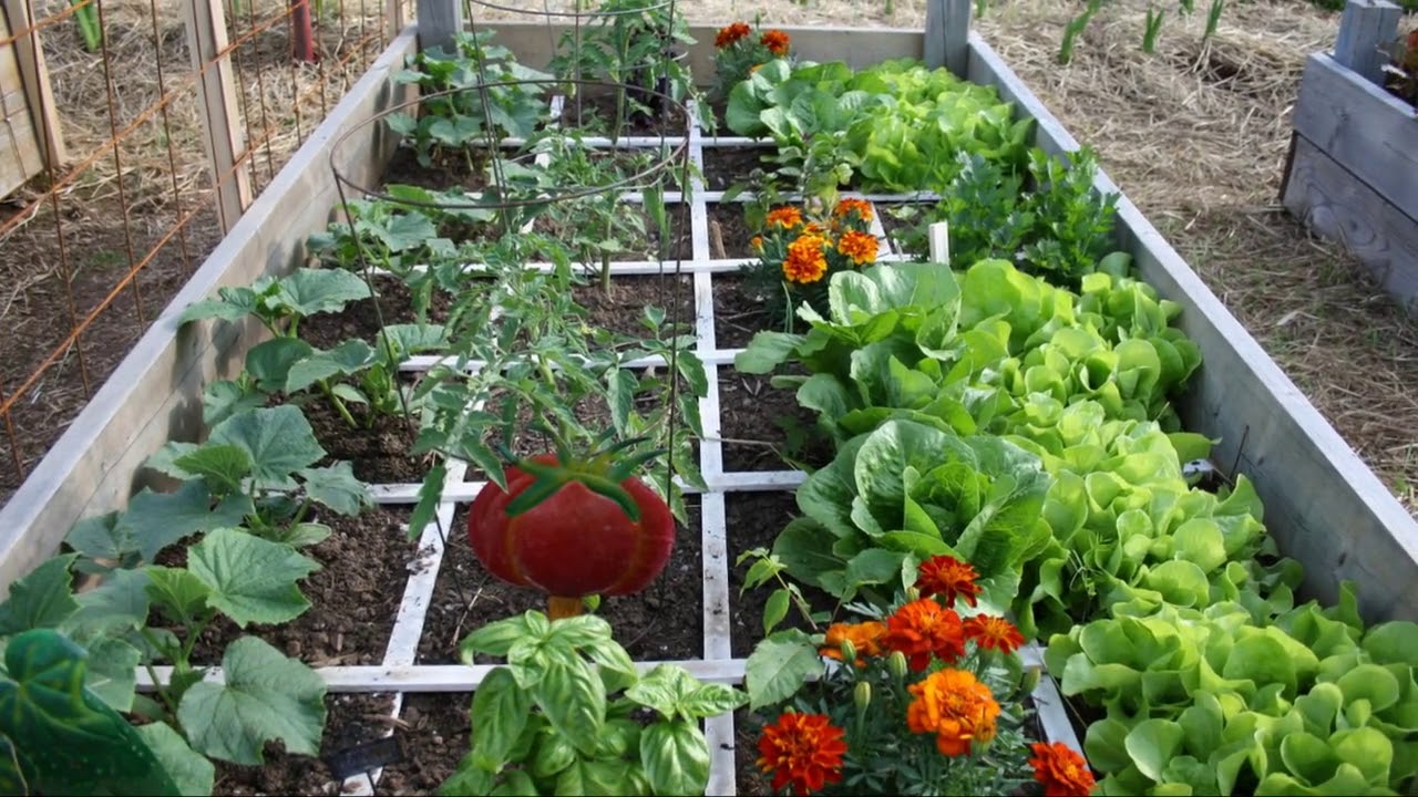 square foot gardening ideas - YouTube
