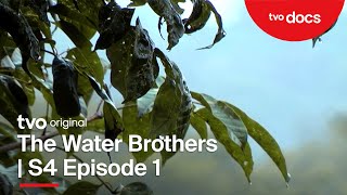 Flying Rivers | The Water Brothers | Full Episode