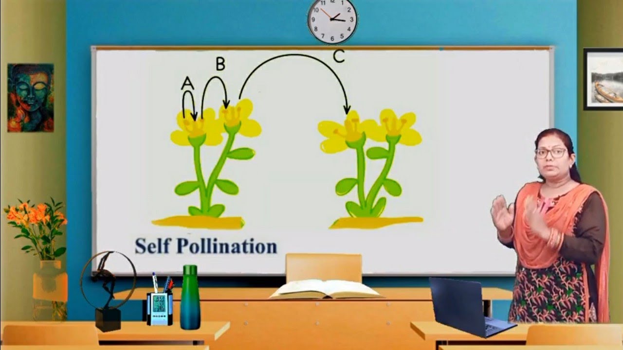 Self Pollination: Advantages and Disadvantages. - YouTube