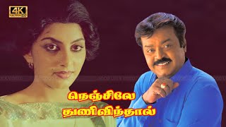 நெஞ்சிலே துணிவிருந்தால் திரைப்படத்தின் பாடல்கள் | NENJILE THUNIVIRUNTHAL MOVIE SONGS | Vijayakanth .
