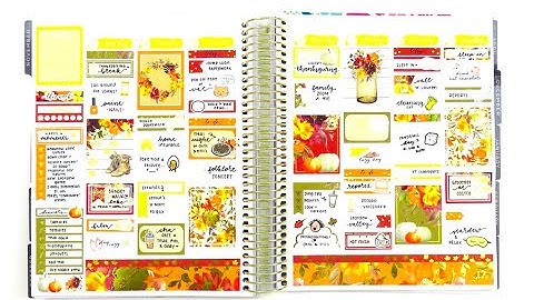 Plan with Me: Ft. Nikki Plus Three