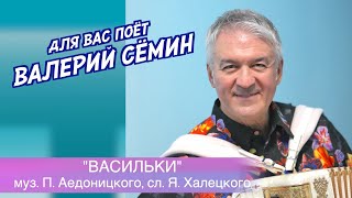 Песня из прошлого под баянчик от ВАЛЕРИЯ СЁМИНА ❤️ "ВАСИЛЬКИ". Очень душевно и красиво ❤️ ❤️ ❤️