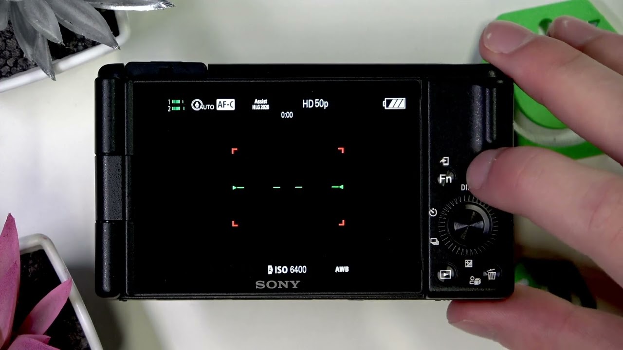 SONY ZV-1 II – How to Enable or Disable Record Lamp - YouTube