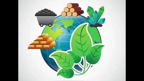 Sst-Chapter 21- Natural Resources - Class 5- Ms. Deepika