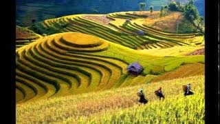 ida widawati - duh indung