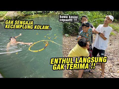 Gak sengaja kecebur di kolam !! ENTHUL MARAH LIAT PECUTNYA SUDAH KAYAK GINI..