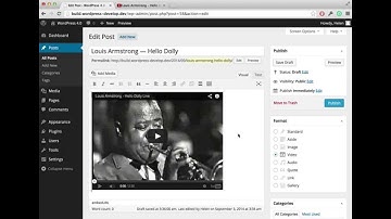 WordPress 4.0 Benny Embedding Videos Is Much Easier