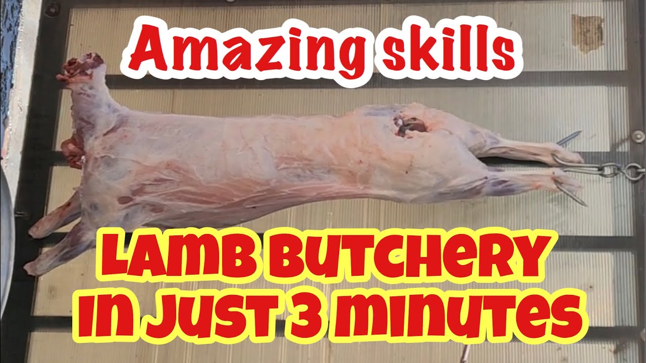 HOW TO BUTCHER LAMB IN 3 MINUTES || 3 MINUTE BUTCHERY || LAMB BUTCHERY