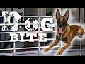 Behind The Bars 1: K9 Bite