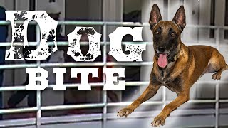 Behind The Bars 1: K9 Bite