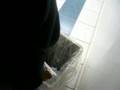 Scott Peeing In A Trash Can Scott Peeing In A Trash Can